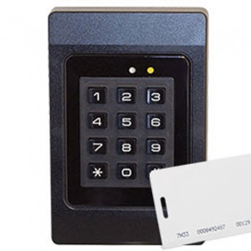 PIN and RFID Access Controller